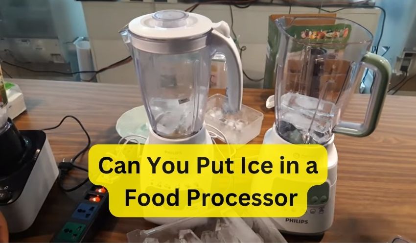 Can You Put Ice in a Food Processor